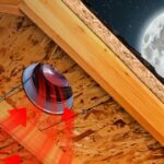 How to Prevent Attic Mold