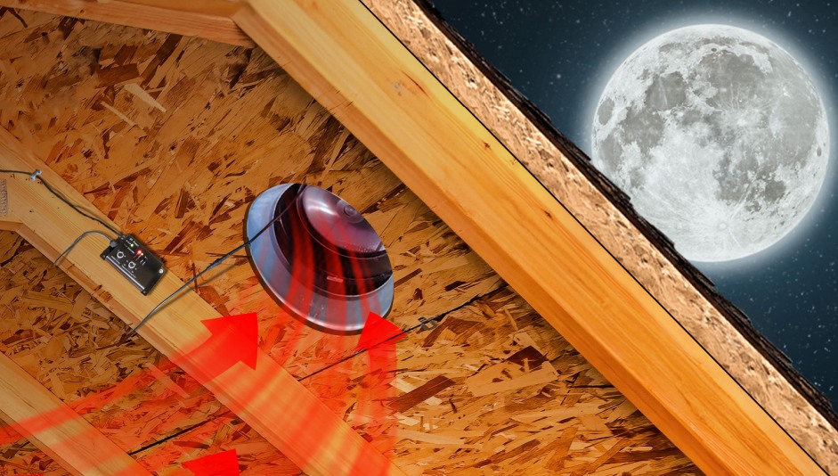 How to Prevent Attic Mold