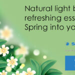 Improve Indoor Air Quality This Spring with Effective Ventilation Solutions